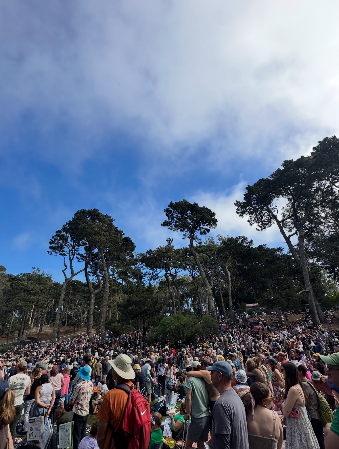 hardly strictly