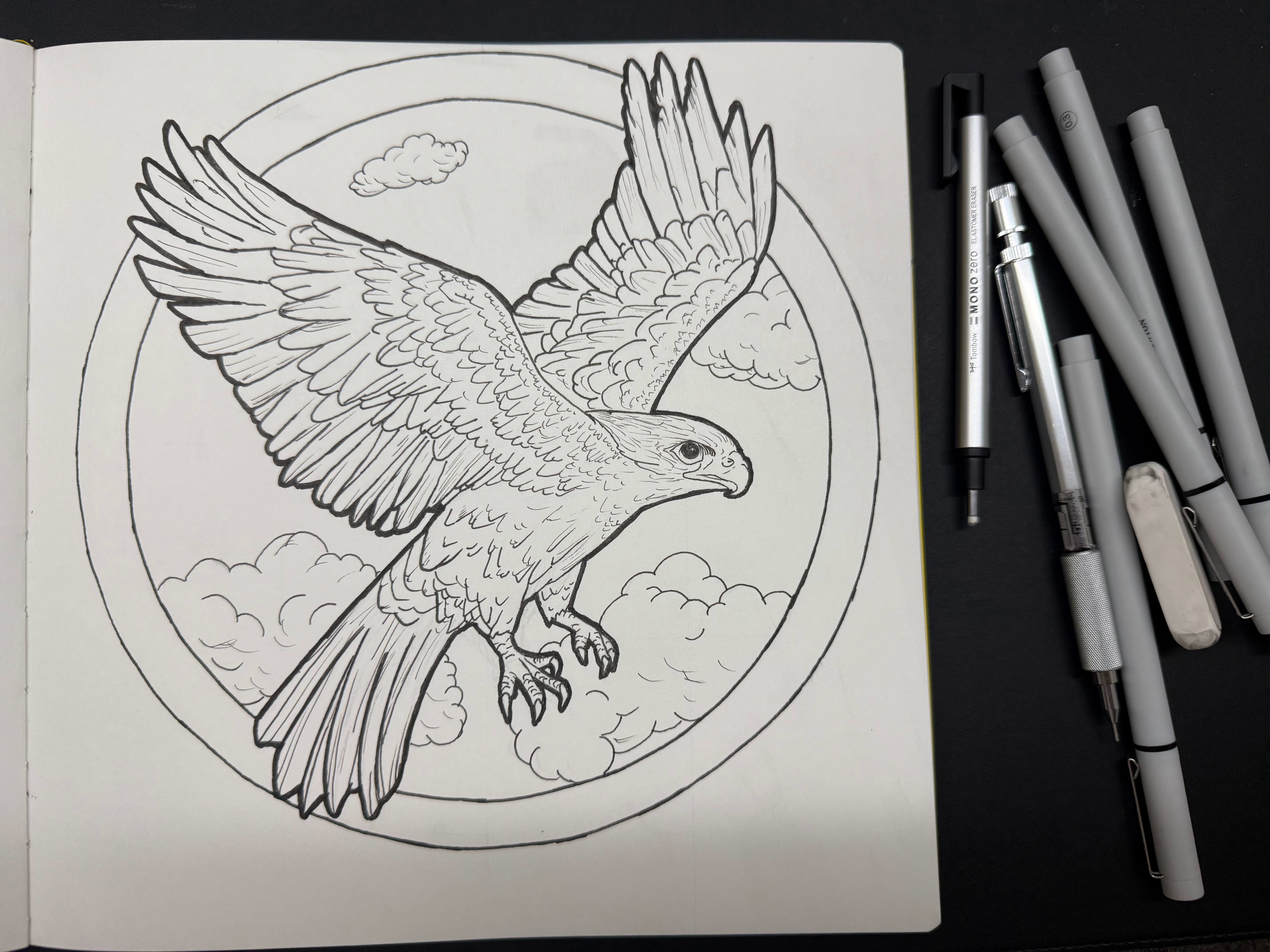 falcon drawing