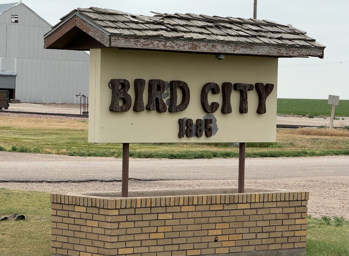 bird city