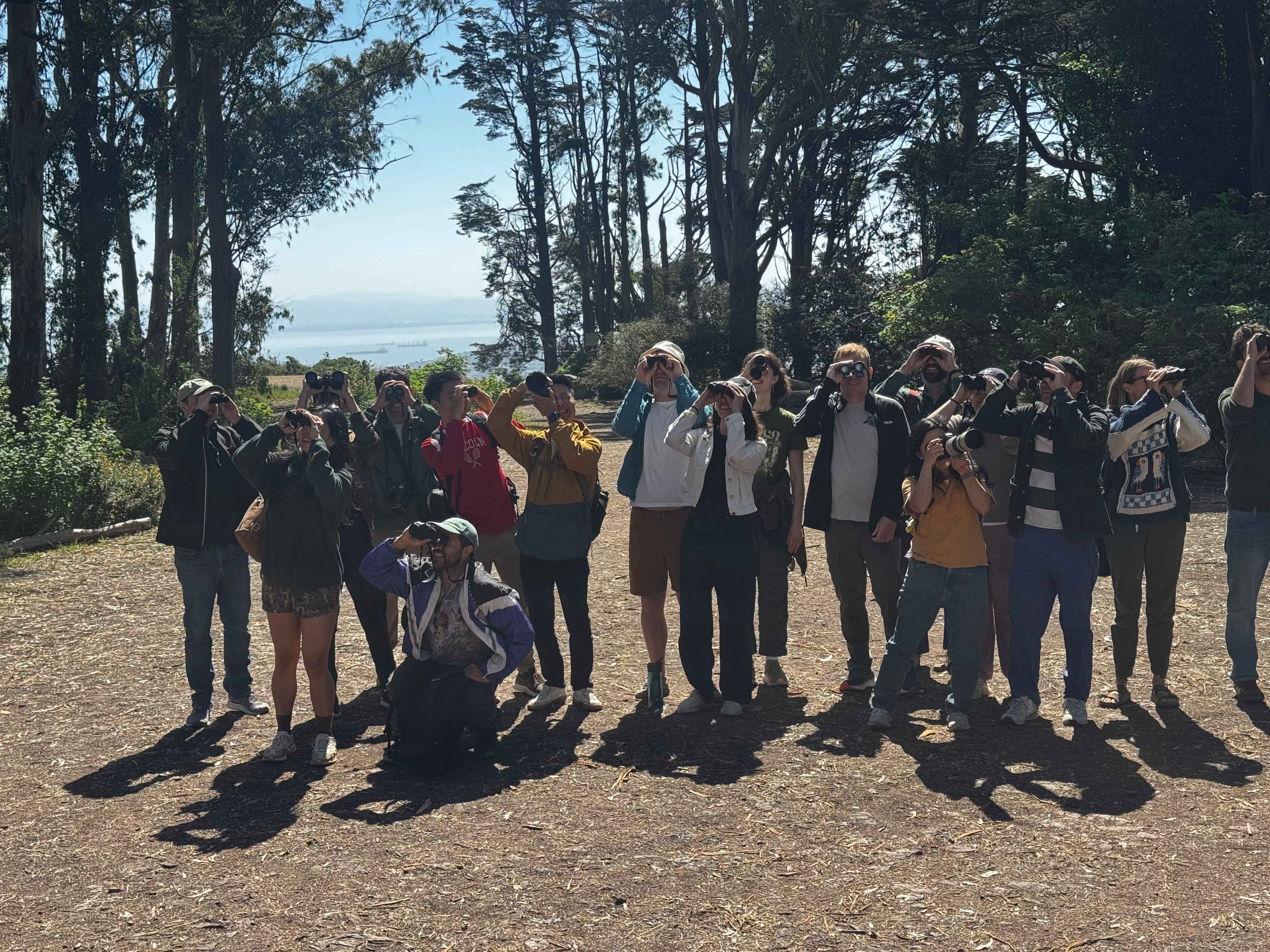  bird walk