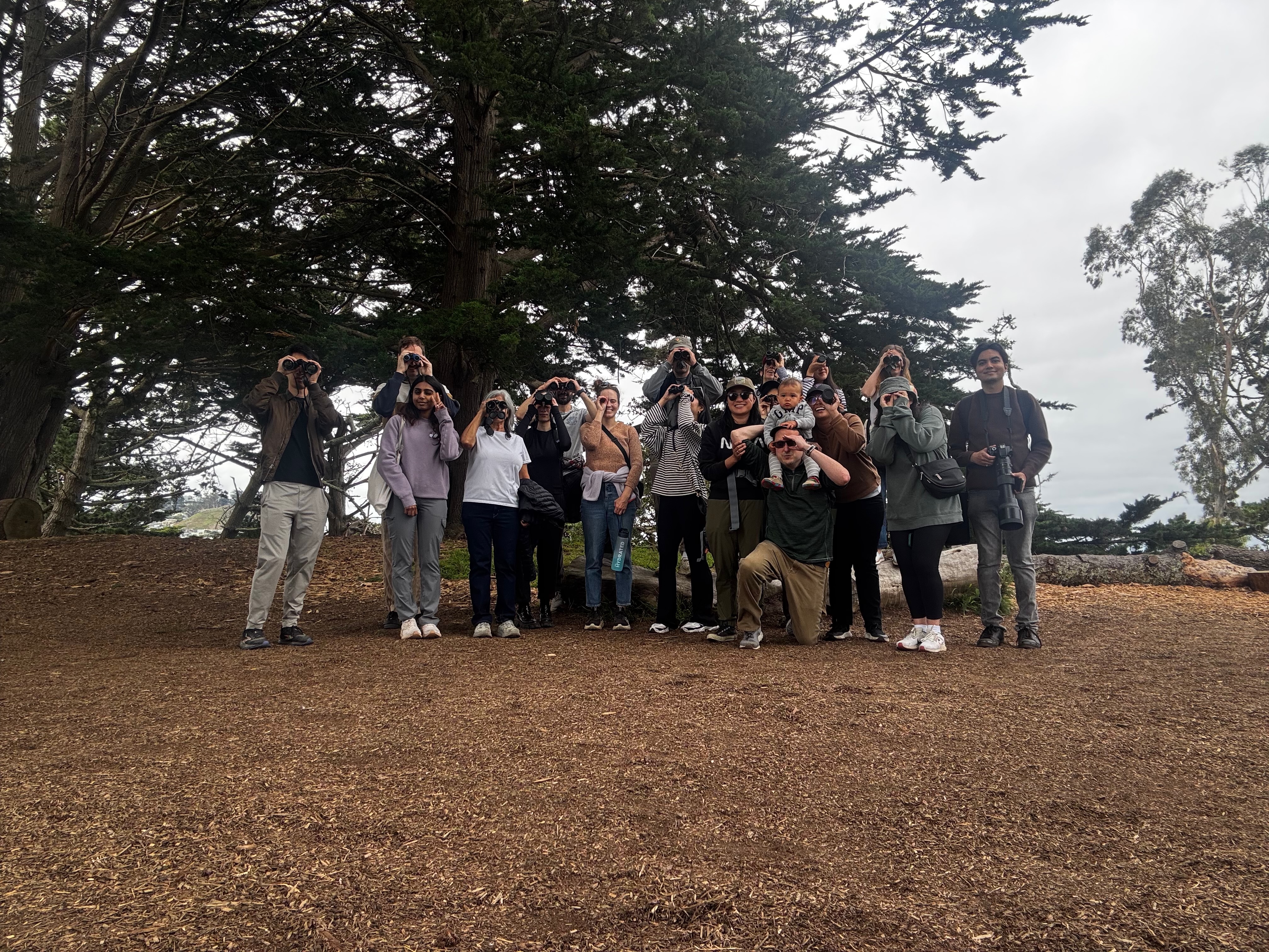  bird walk